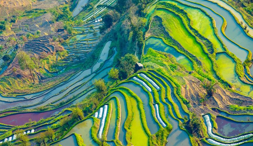 宝妈必备神器：丹徒区产品视频拍摄轻松育儿好帮手