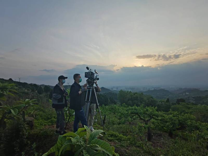创意破圈！丹徒区电商产品宣传视频用故事化叙事引爆流量