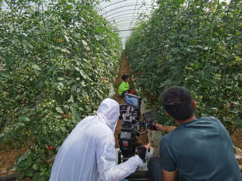 丹徒区产品宣传视频拍摄公司进阶指南，助力品牌抢占传播高地